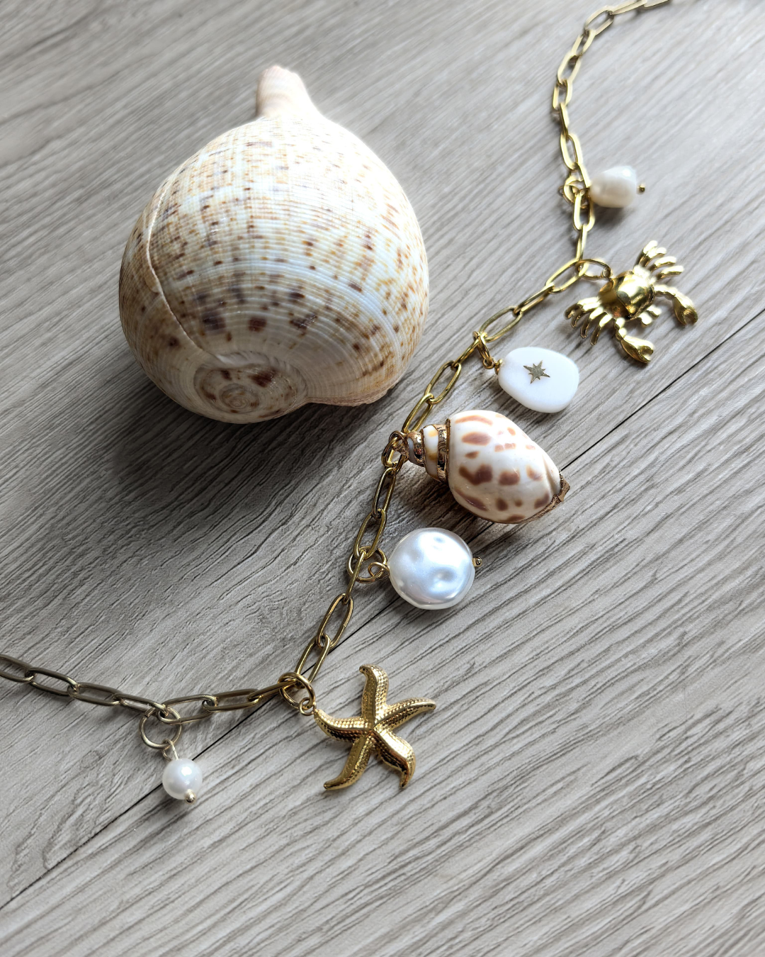 Seashell Sangria Multi Charm Necklace