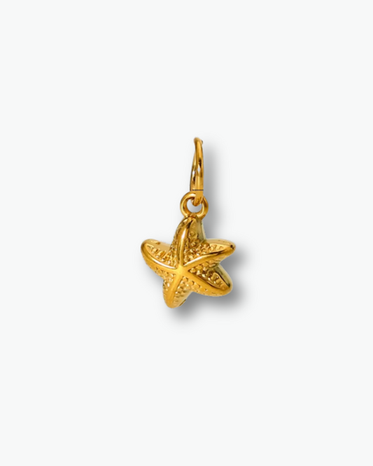 Mini Star Fish Charm
