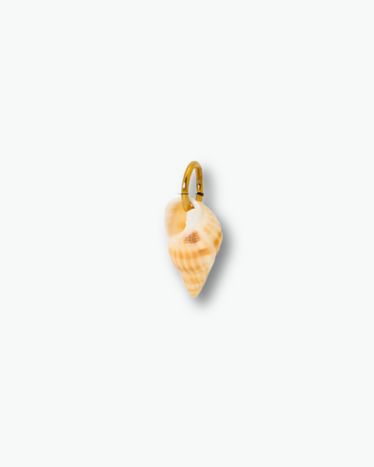 Coastal Treasure Charm