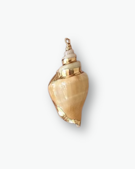 Big Shell Charm