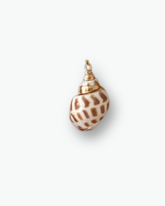 Medium Shell Charm