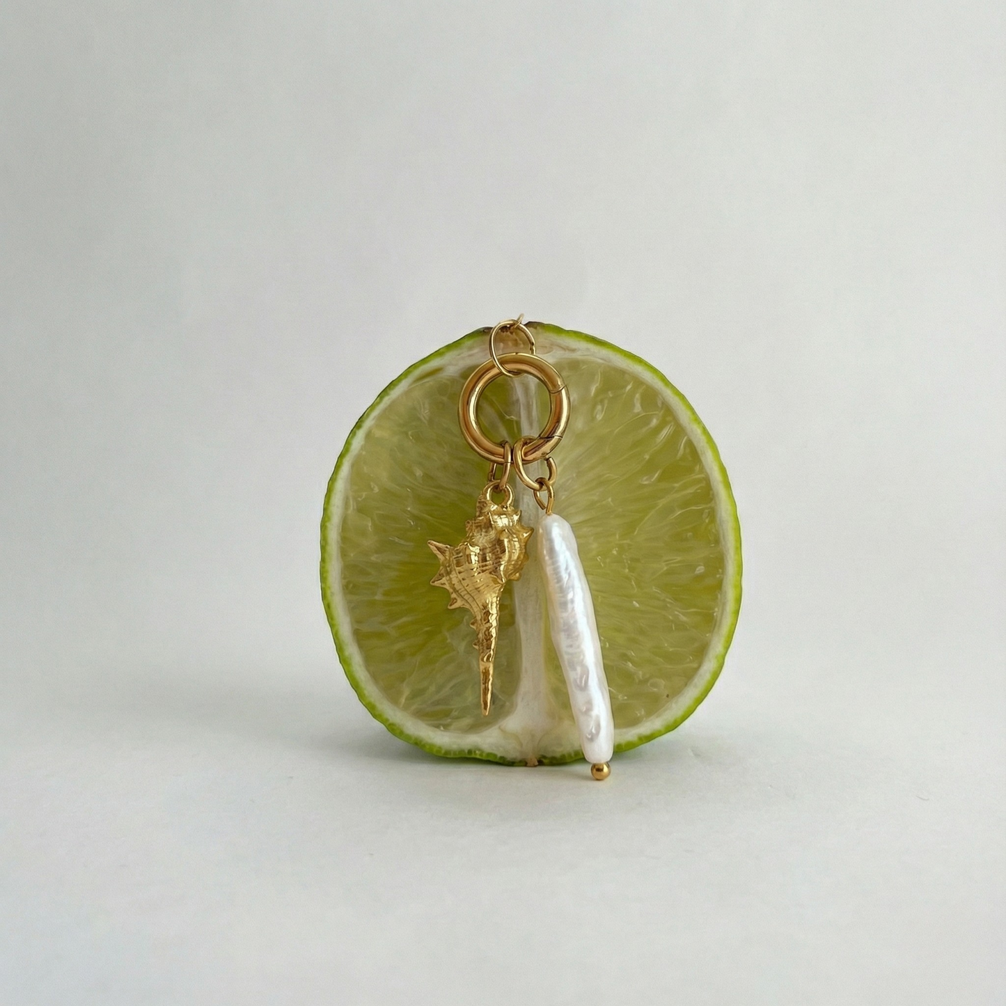 Murex Shell Charm