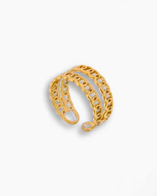 Double Chain Ring