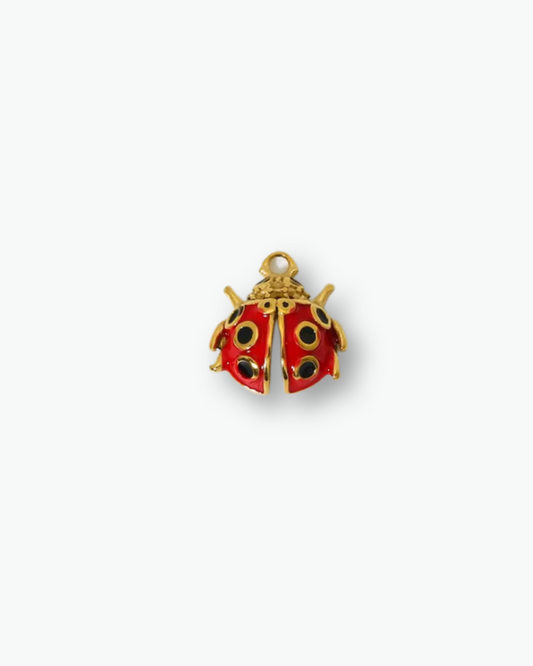 Ladybug Charm