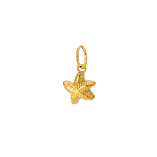 Mini Starfish Charm