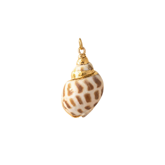 Medium Shell Charm