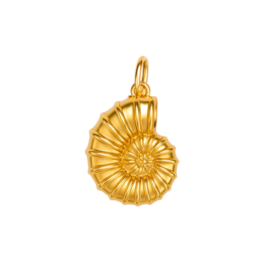 Plain Fossil Charm