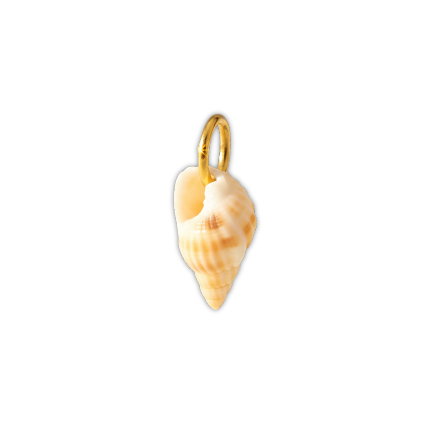 Coastal Treasure Charm