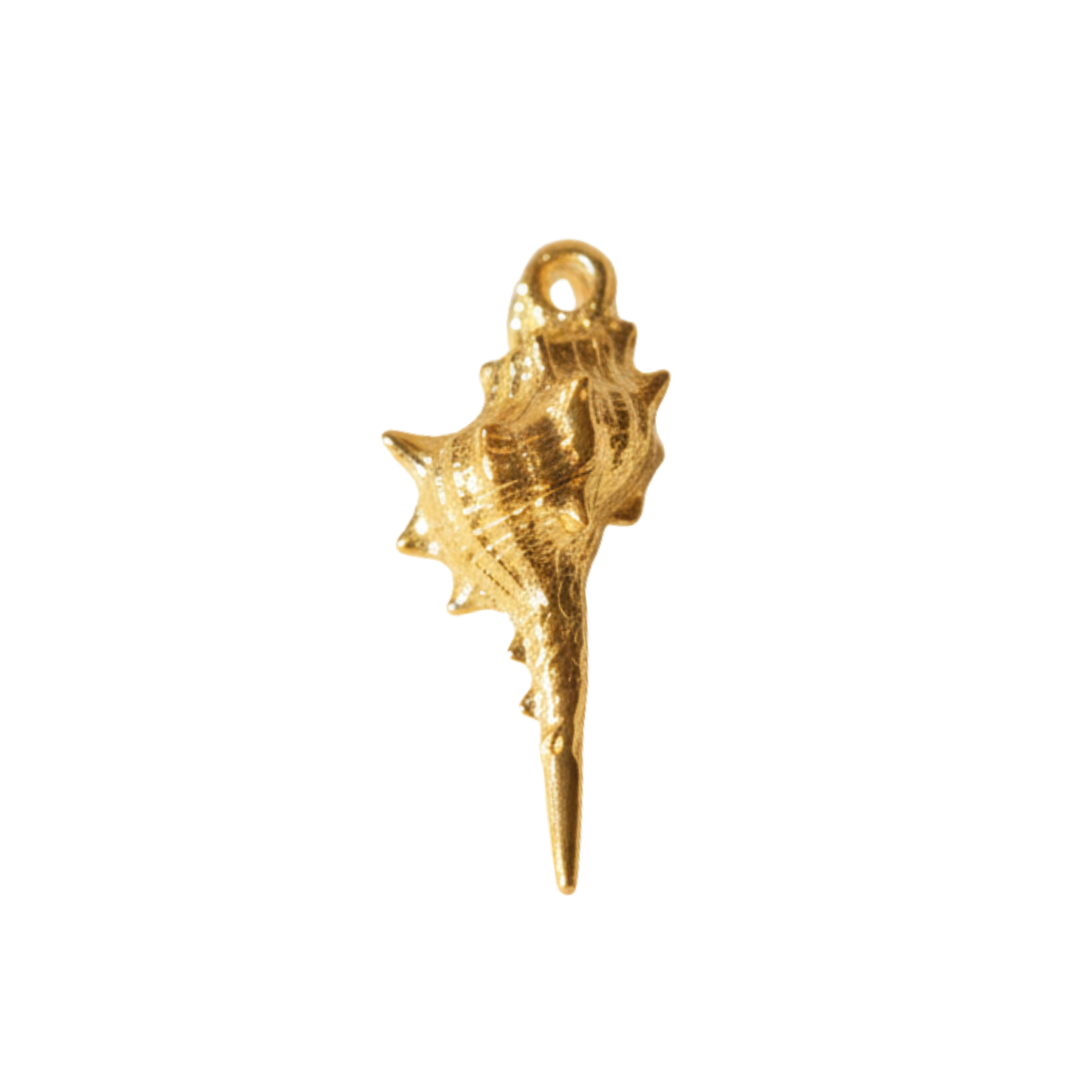 Murex Shell Charm