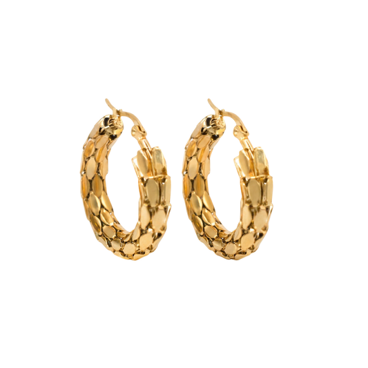 Rythmic Hoops