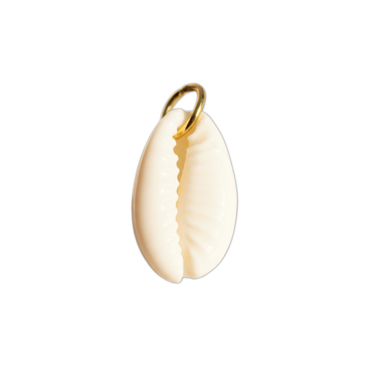 White Conch Shell Charm